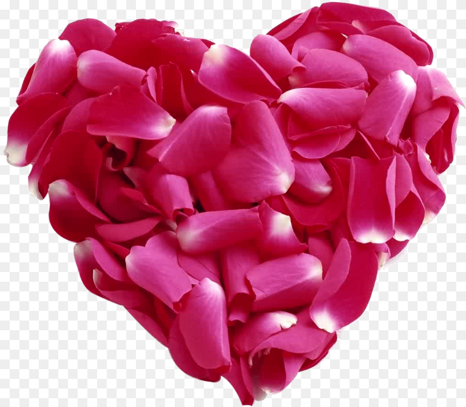 Rose Petal Heart Images Loe Heart, Flower, Plant Png