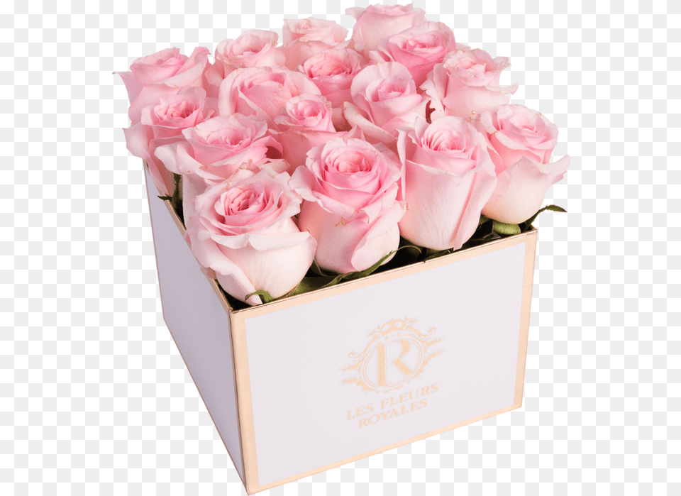 Rose Petal Pink Lovely, Flower, Flower Arrangement, Flower Bouquet, Plant Png