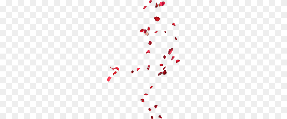 Rose Petals, Paper, Confetti, Art Png Image