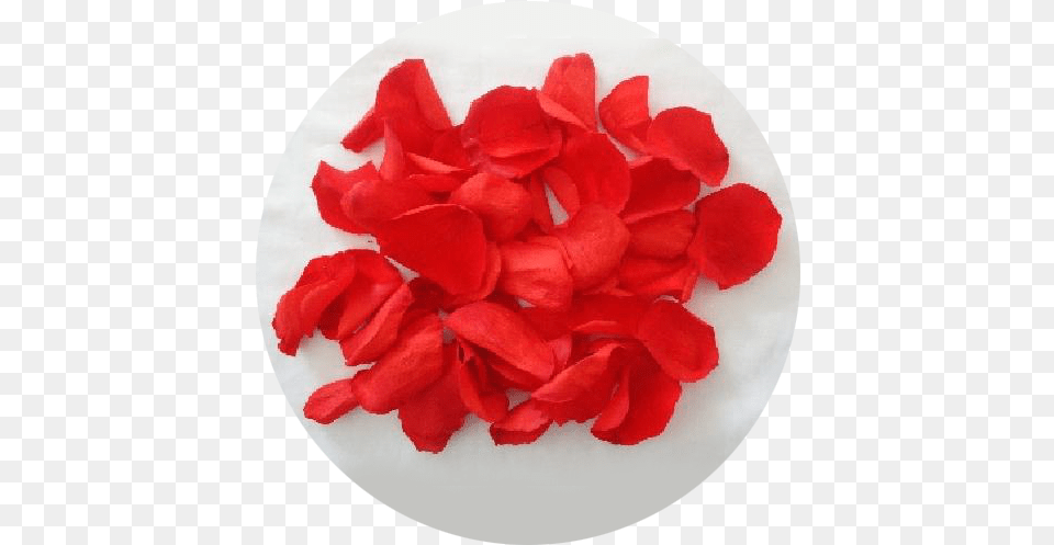 Rose Petals Asmini Flowers Artificial Flower, Petal, Plant Free Transparent Png