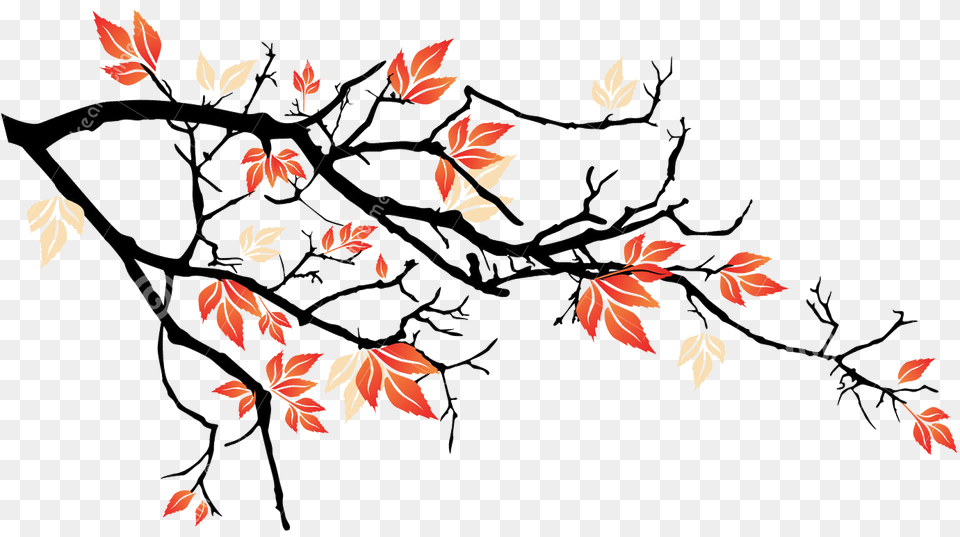 Rose Petals Falling Tree Branches, Art, Floral Design, Graphics, Leaf Png Image