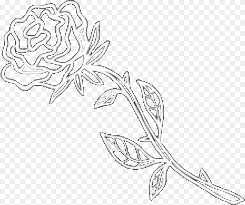 Rose Petals Flower Line Art, Pattern, Stencil, Floral Design, Graphics Free Png Download