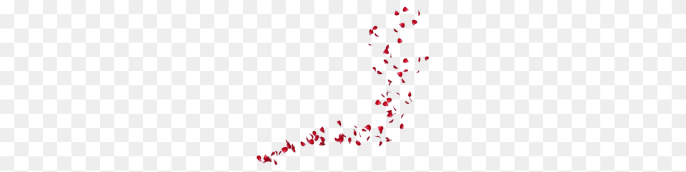 Rose Petals For Computer, Flower, Petal, Plant Png