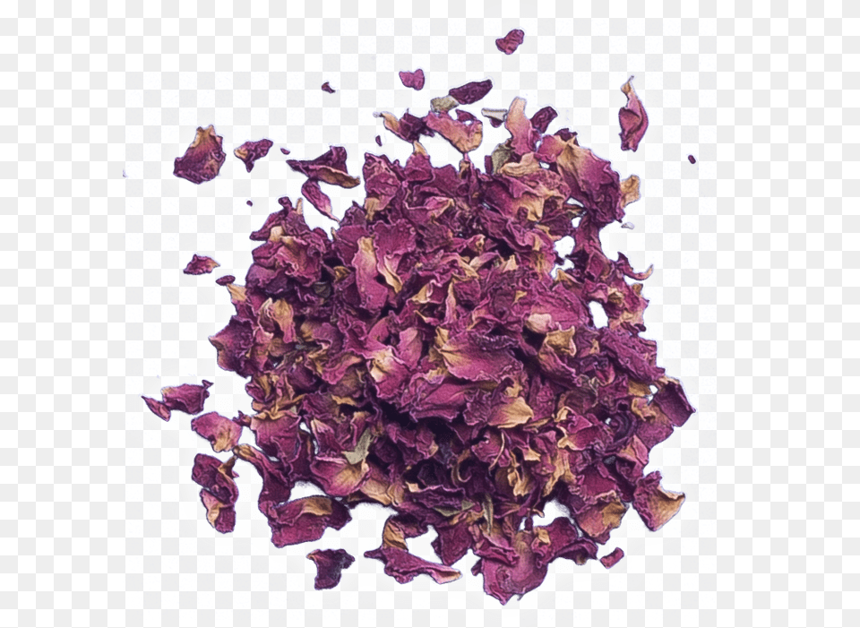 Rose Petals Images, Flower, Herbal, Herbs, Leaf Png