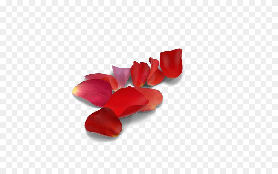 Rose Petals Picture Arts, Flower, Petal, Plant Free Png Download