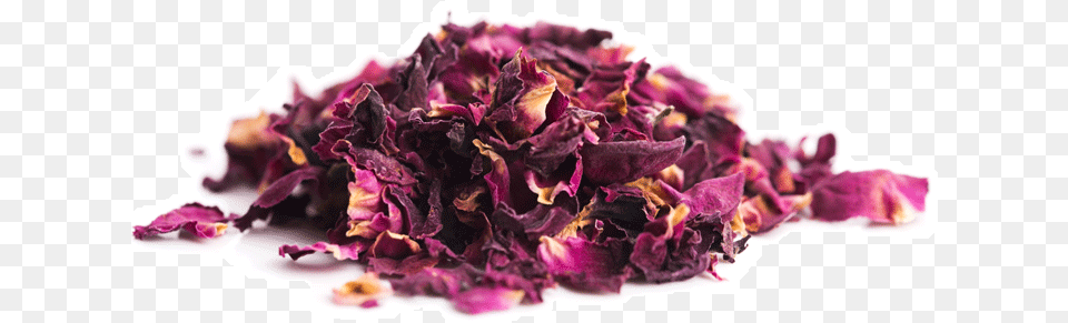 Rose Petals Powder, Flower, Herbal, Herbs, Petal Png