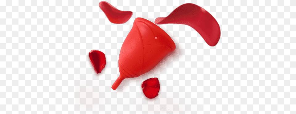Rose Petals Sileu Cup Menstrual Cup And Accessories Lovely, Flower, Petal, Plant, Balloon Free Png
