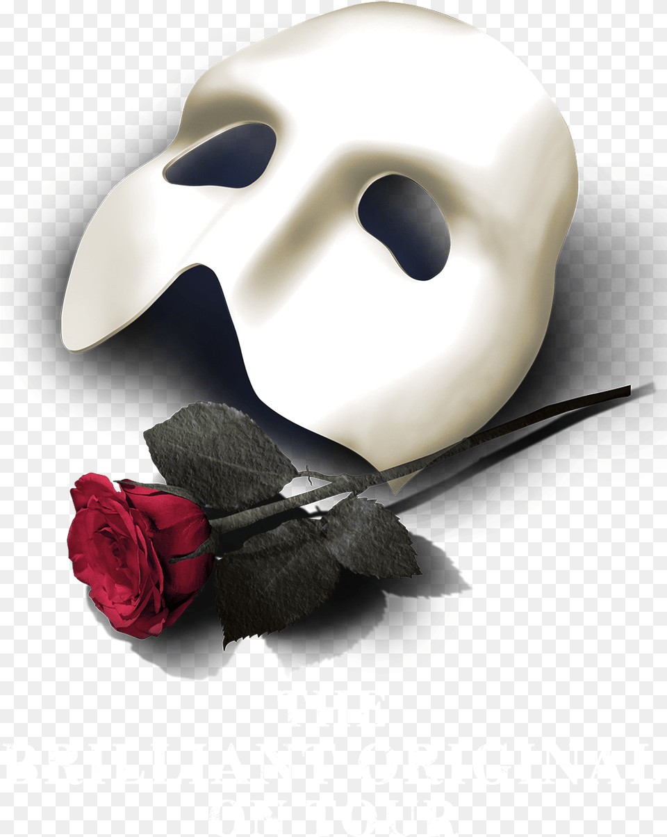 Rose Phantom Of The Opera Mask, Flower, Plant, Petal, Animal Png