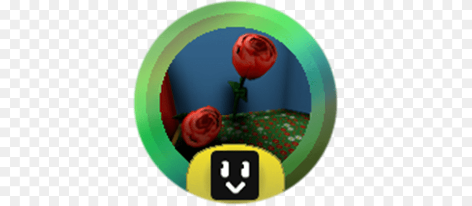 Rose Pineapple Patch Bee Swarm Simulator, Flower, Plant, Flower Arrangement, Flower Bouquet Free Png