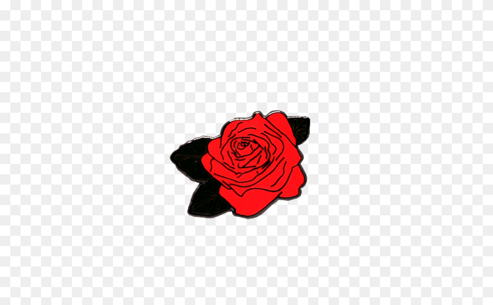 Rose Pinhype, Flower, Plant Png Image