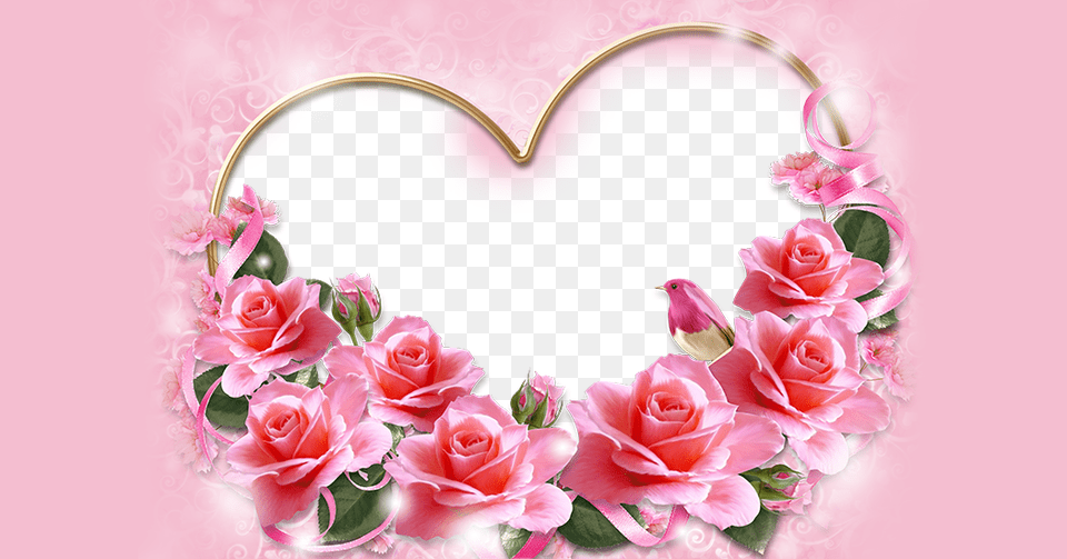 Rose Pink Flower, Plant, Animal, Bird, Art Free Png Download