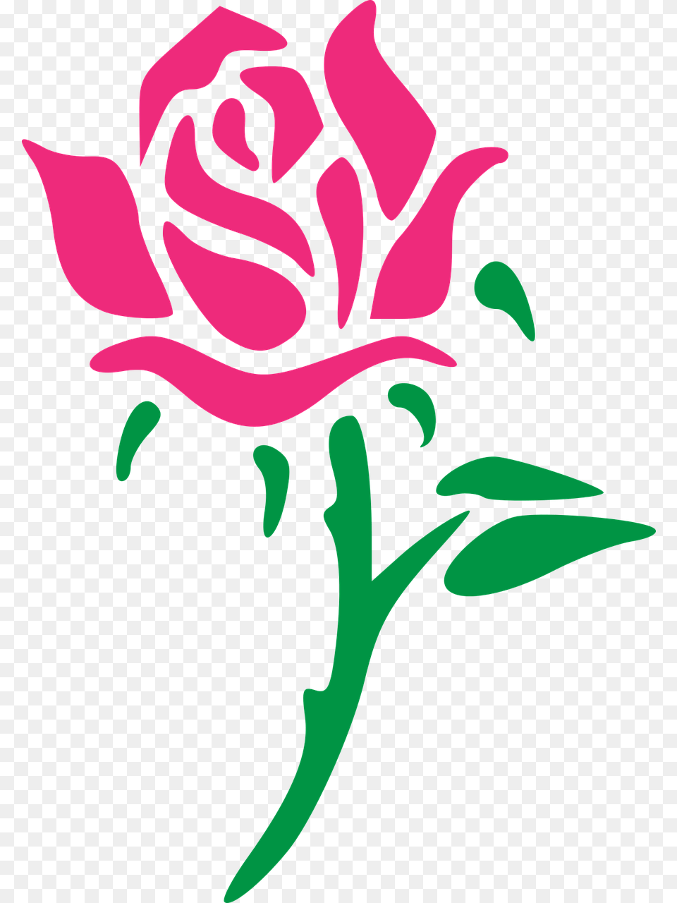 Rose Pink Green Photo Pink Rose Vector, Flower, Plant Png