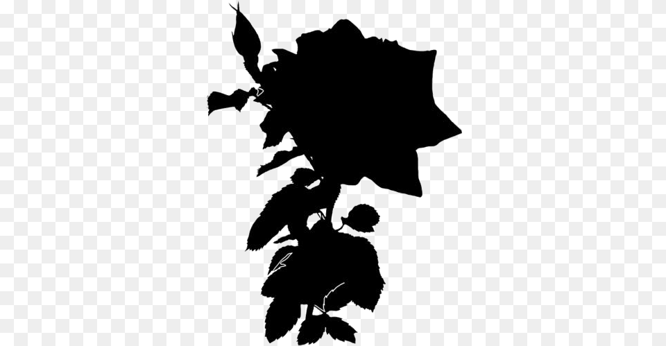 Rose Plant Hd Silhouette, Leaf, Stencil Png Image
