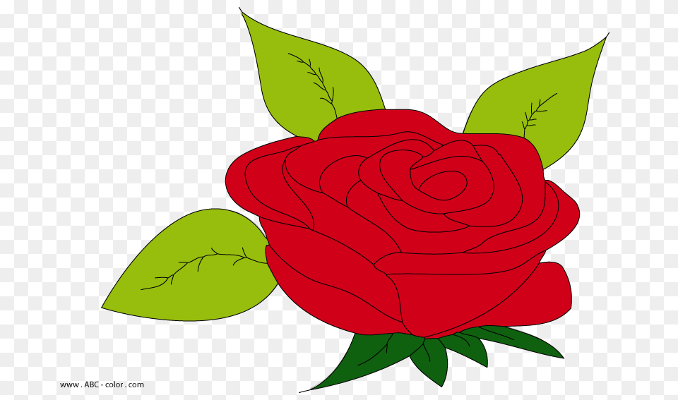 Rose Raster Painting, Flower, Plant Png
