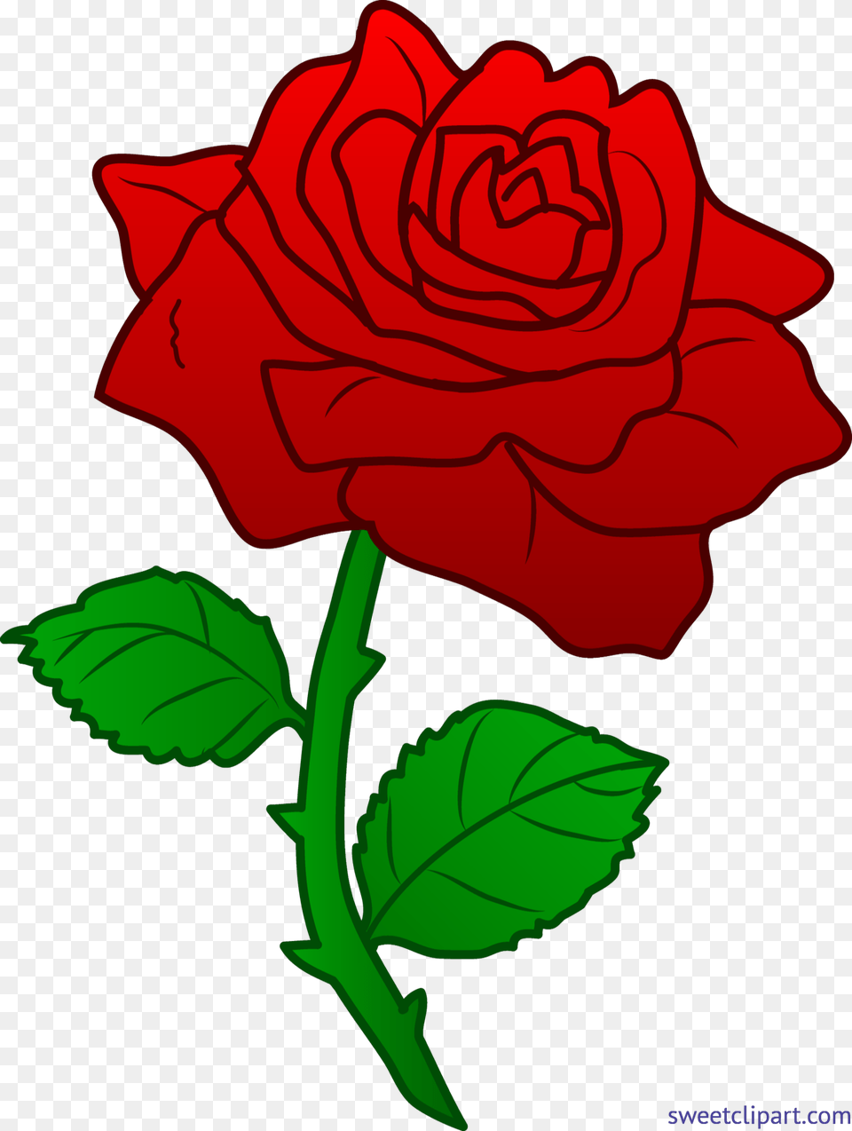 Rose Red Clip Art, Flower, Plant Png