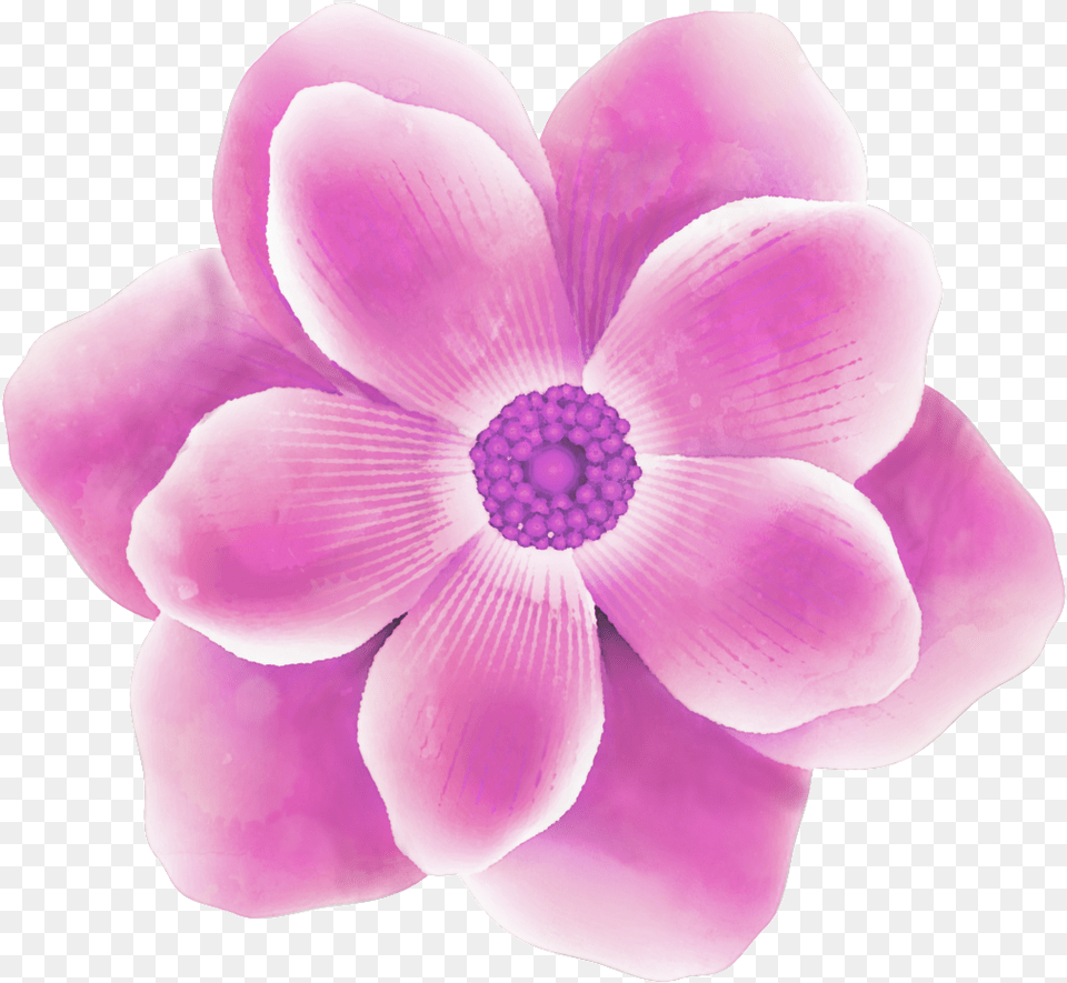 Rose Red Watercolor Flower Transparent Purple Soft, Anemone, Dahlia, Geranium, Petal Png