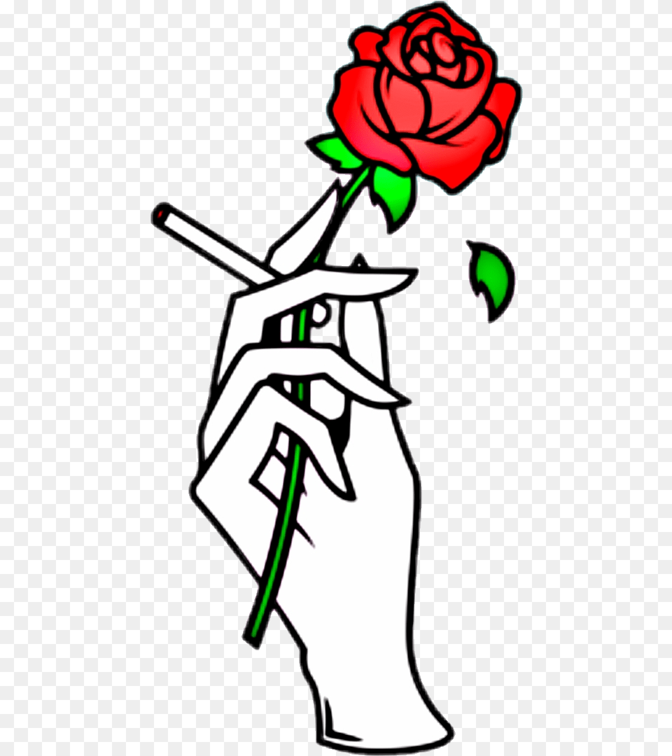 Rose Report Abuse Hand Holding Clipart Hand Holding Rose Drawing, Flower, Plant, Face, Head Free Transparent Png