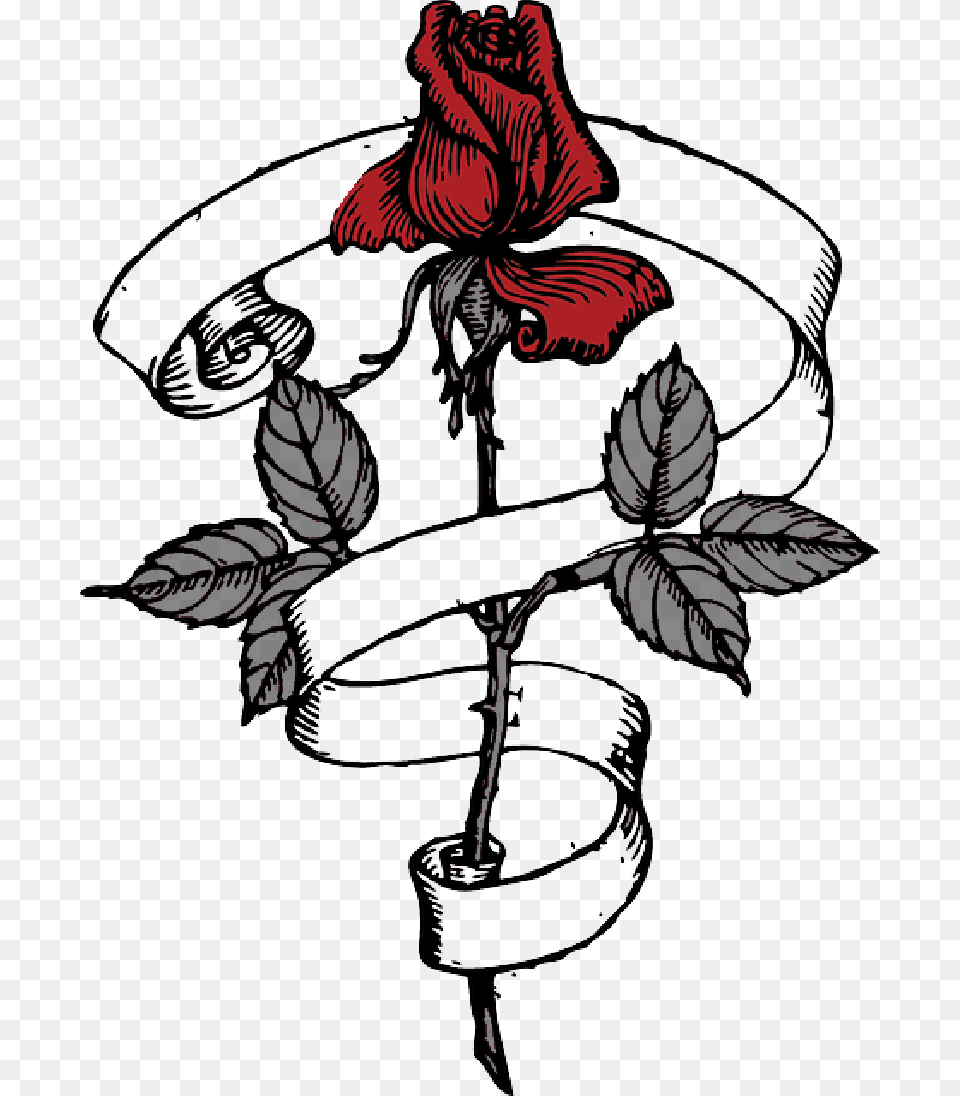 Rose Ribbon Clip Art, Flower, Plant, Person, Face Free Png