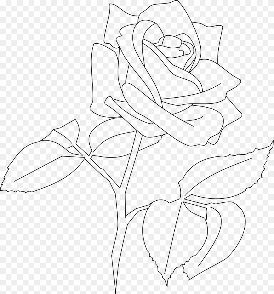 Rose Rose Outline Rose Outline Transparent, Gray Png Image