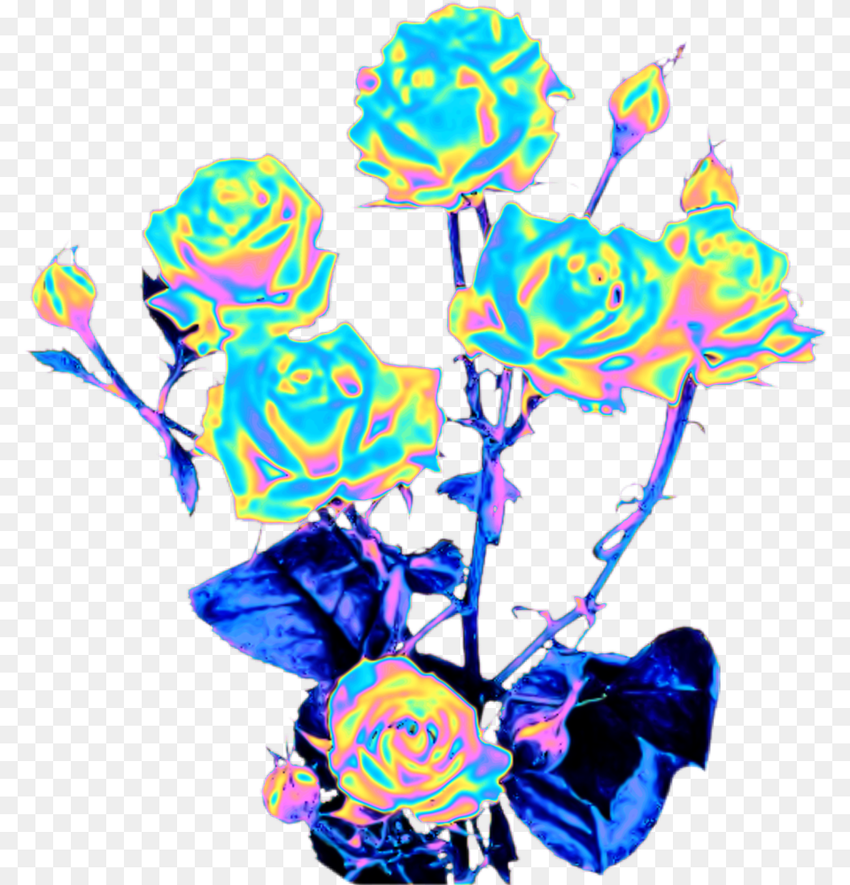 Rose Rosebush Flowers Roses Thorn Holo Holographic Holographic Flowers, Art, Flower, Graphics, Pattern Free Png