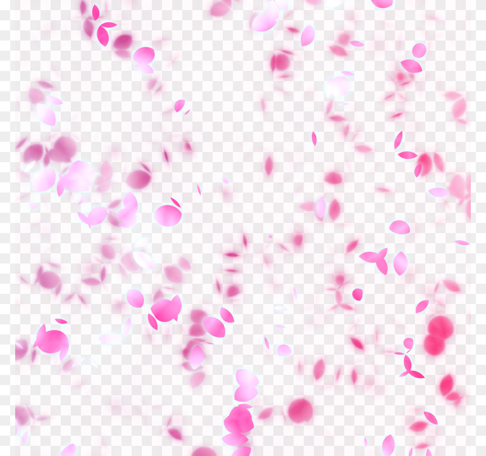 Rose Rosepetals Roses Redrose Beautiful Falling Blowin, Flower, Petal, Plant, Purple Png Image