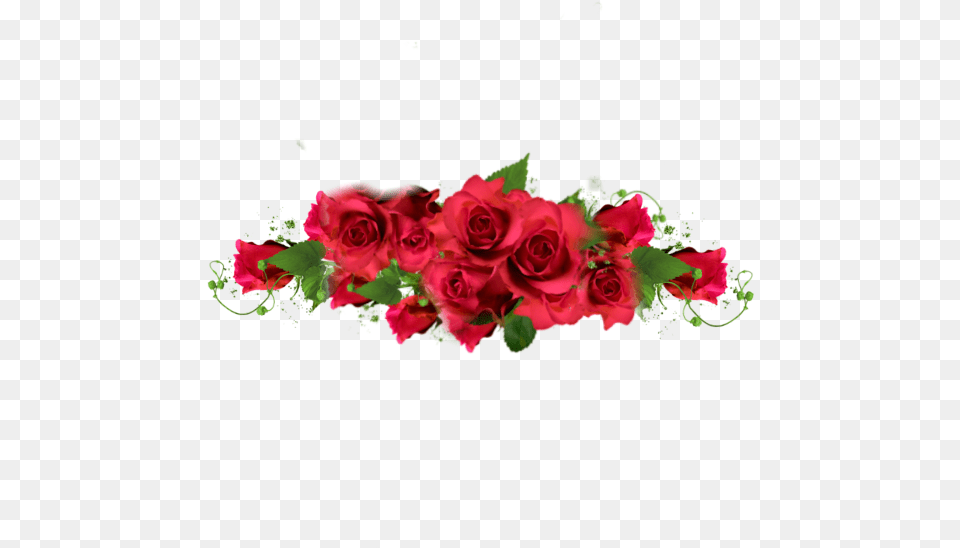 Rose Roses Border Redroses Red Redaesthetic Romantic Red Rose Border, Art, Floral Design, Flower, Flower Arrangement Png Image