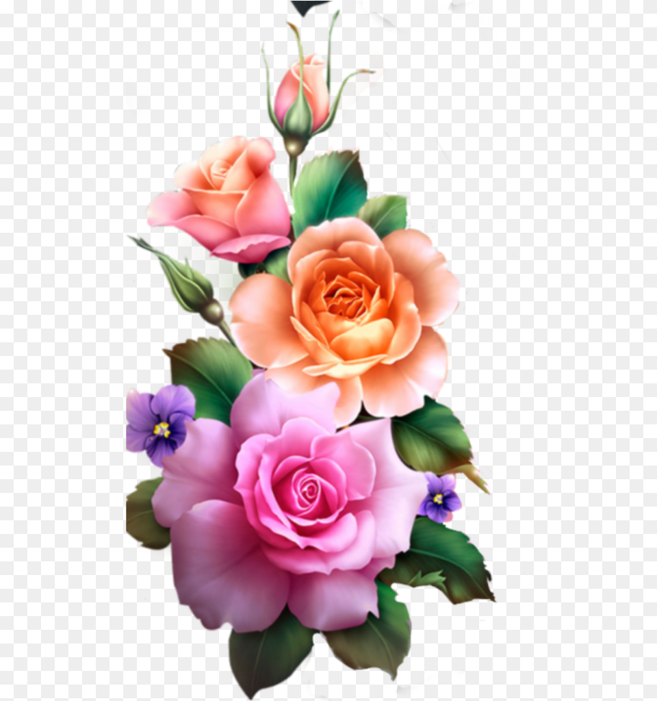 Rose Roses Flower Flowers Real Nature Edit Freetoedit Transparent Flower Hd, Flower Arrangement, Flower Bouquet, Plant, Pattern Free Png