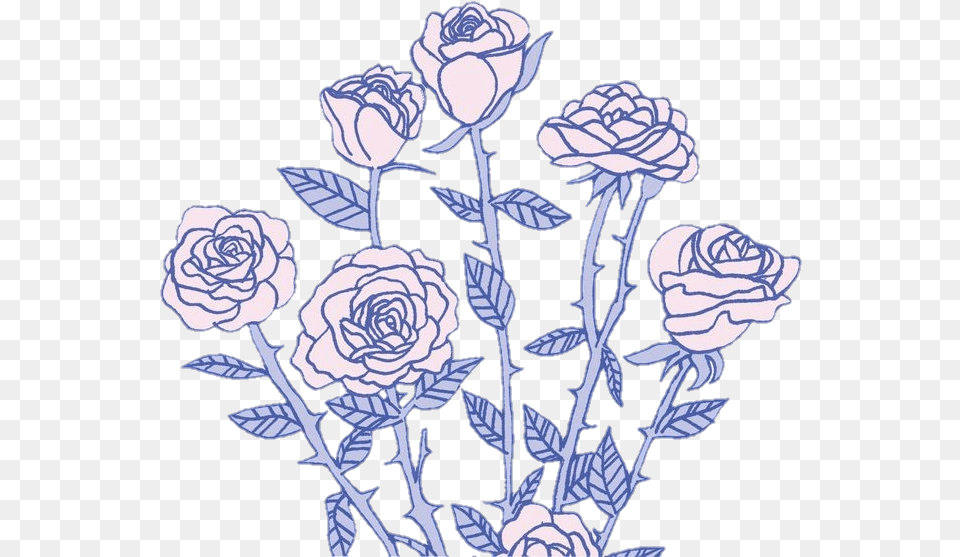 Rose Roses Pink Flower Aesthetic Art Cute Sticker Garden Roses, Graphics, Pattern, Plant, Floral Design Free Png
