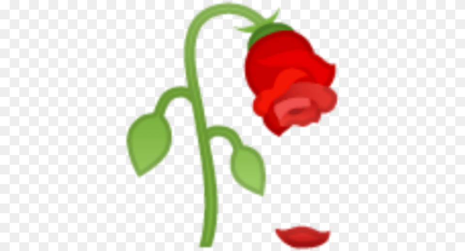 Rose Roses Rose Emoji Fallenrose Deadrose Dead Rose Clipart, Flower, Petal, Plant, Baby Free Png