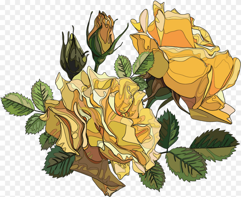 Rose Roses Yellow Yellowrose Yellowroses Orange Yellow Roses, Art, Plant, Graphics, Flower Free Png
