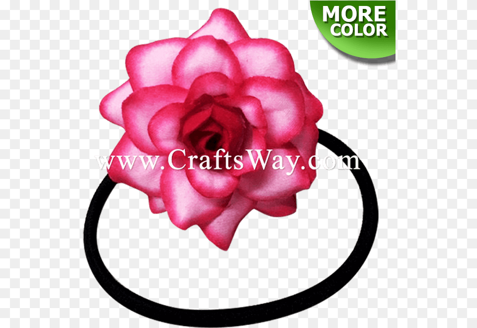 Rose Rubber Band Lei, Accessories, Flower, Petal, Plant Png