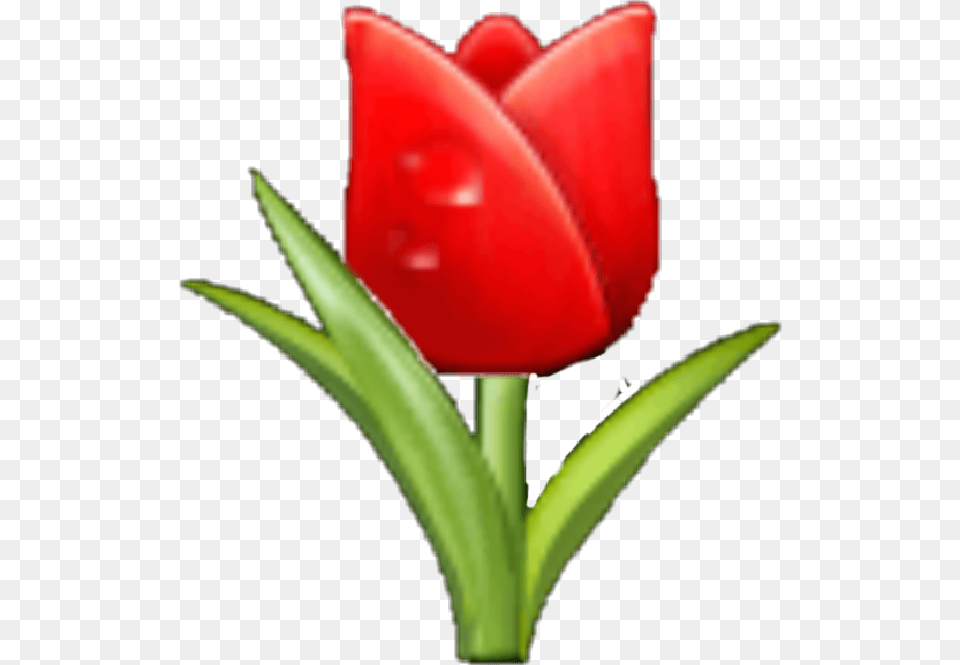 Rose Samsungemoji Flowers Flower Sticker Emoji Emoji, Plant, Tulip, Petal Free Png Download