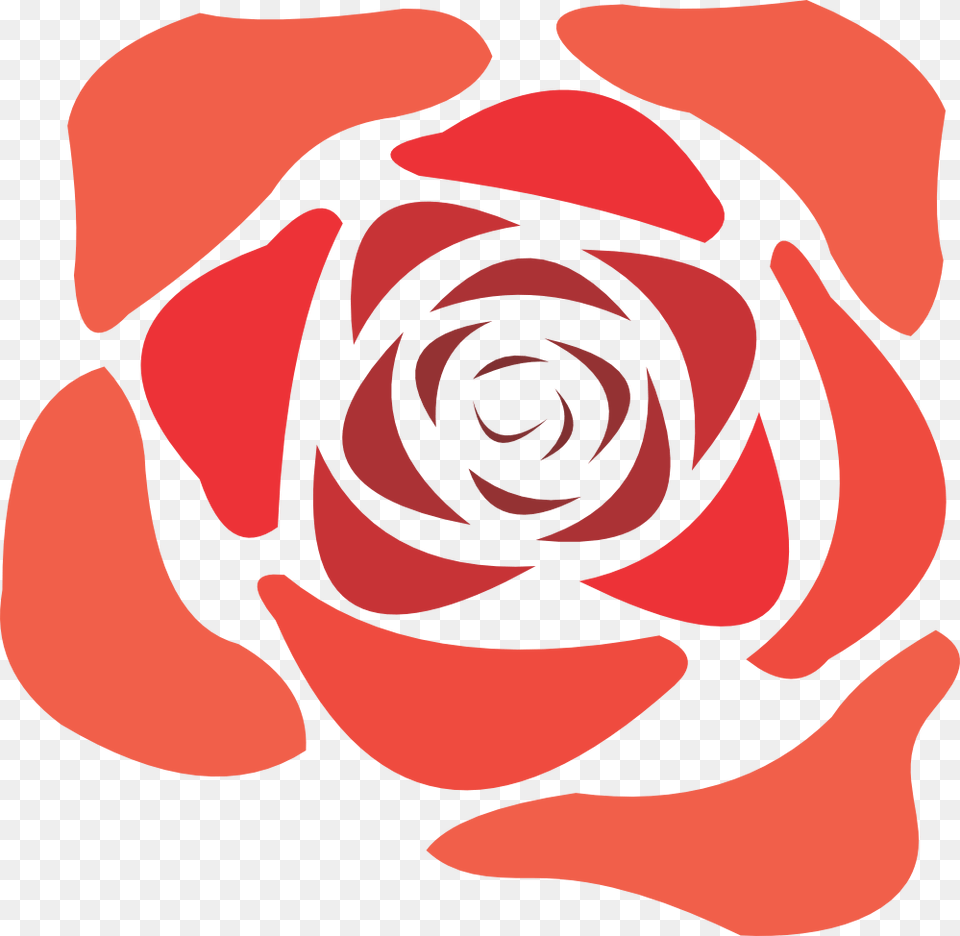 Rose Scroll, Flower, Plant, Food, Ketchup Png Image