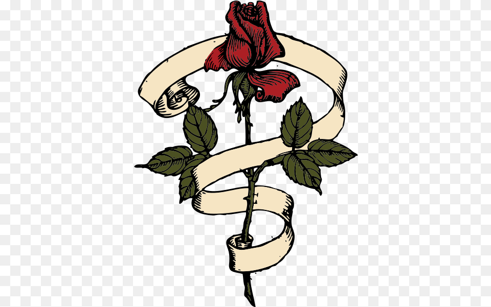 Rose Scroll, Adult, Female, Person, Woman Free Png