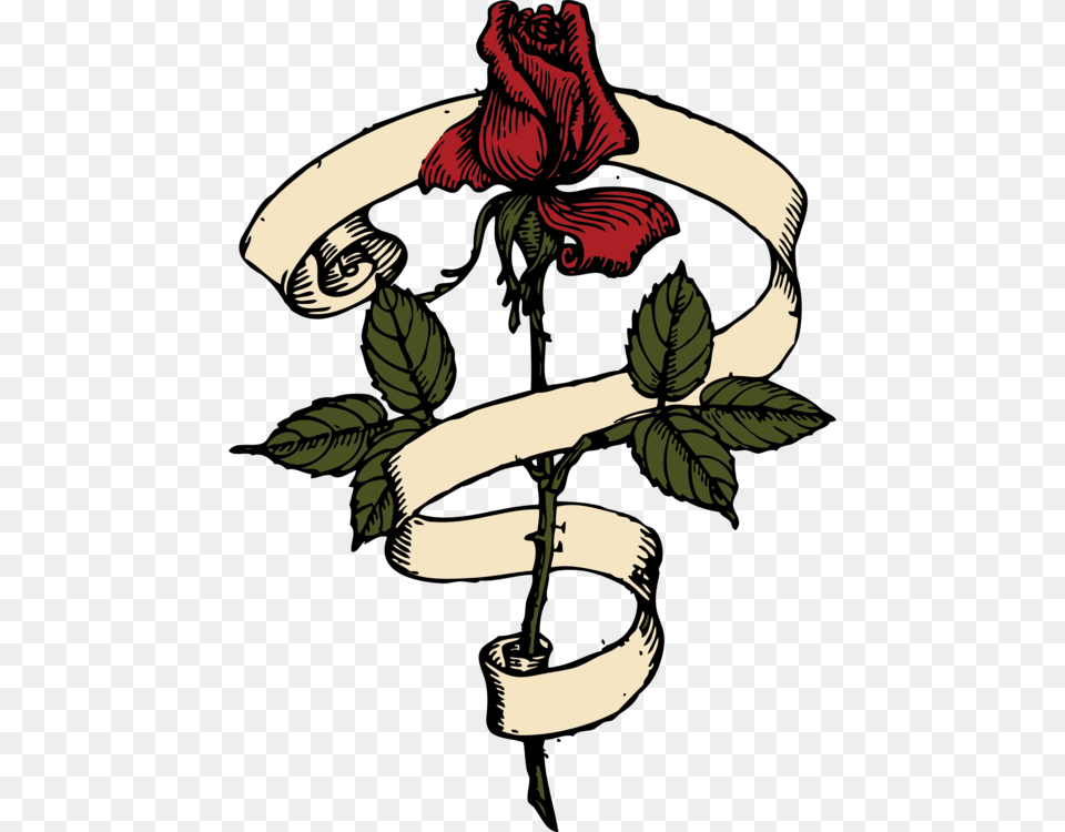 Rose Scroll Computer Icons Drawing, Flower, Plant, Adult, Female Png