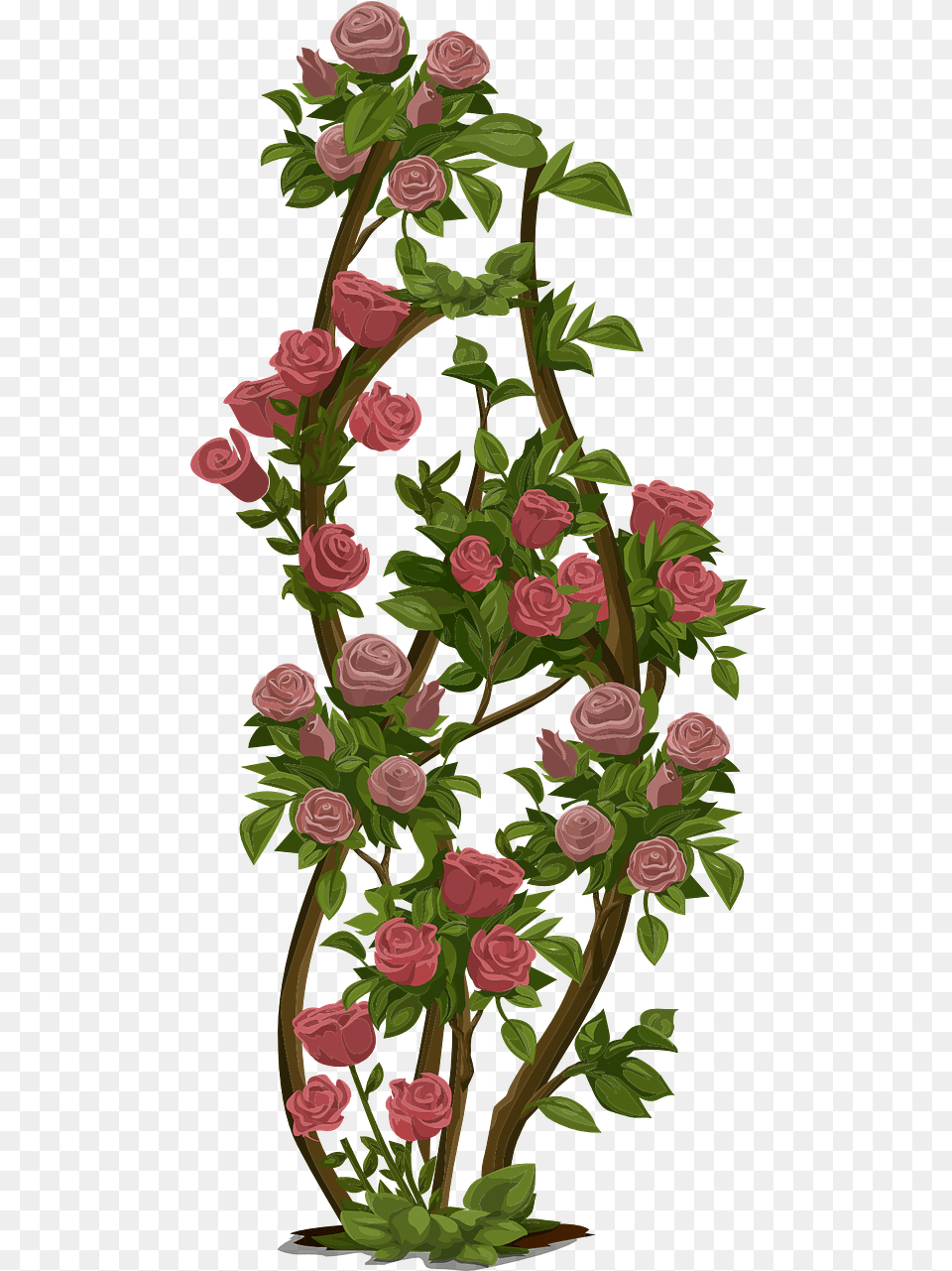 Rose Shrub Clipart, Art, Floral Design, Flower, Flower Arrangement Free Transparent Png
