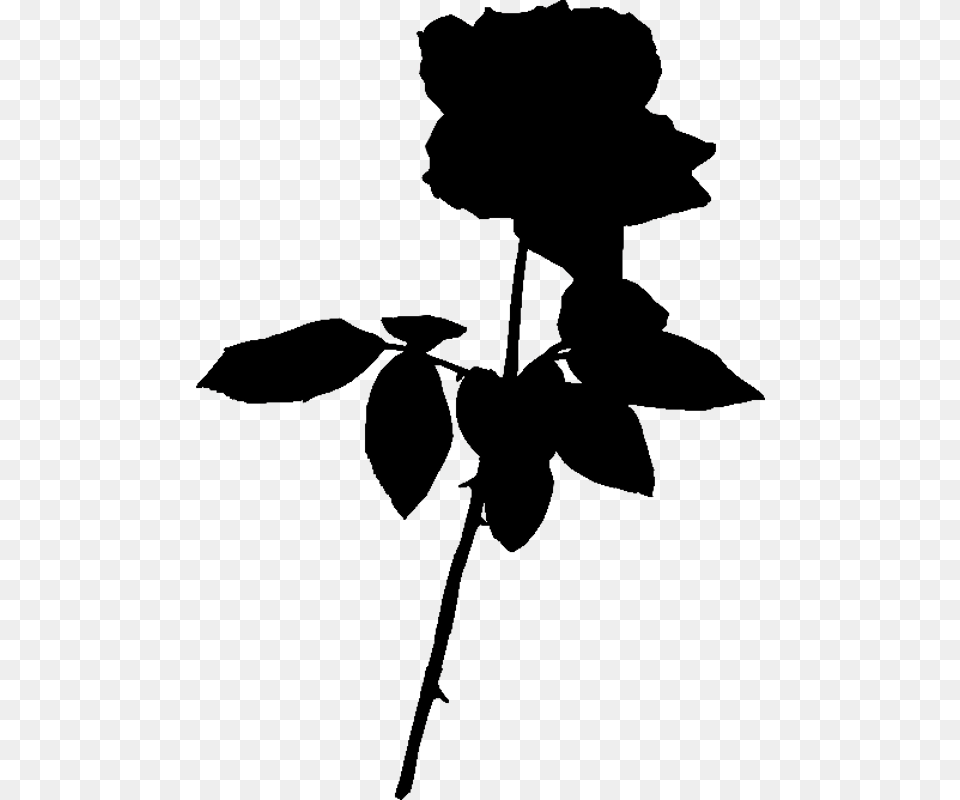 Rose Silhouette, Flower, Plant, Person, Anemone Png Image