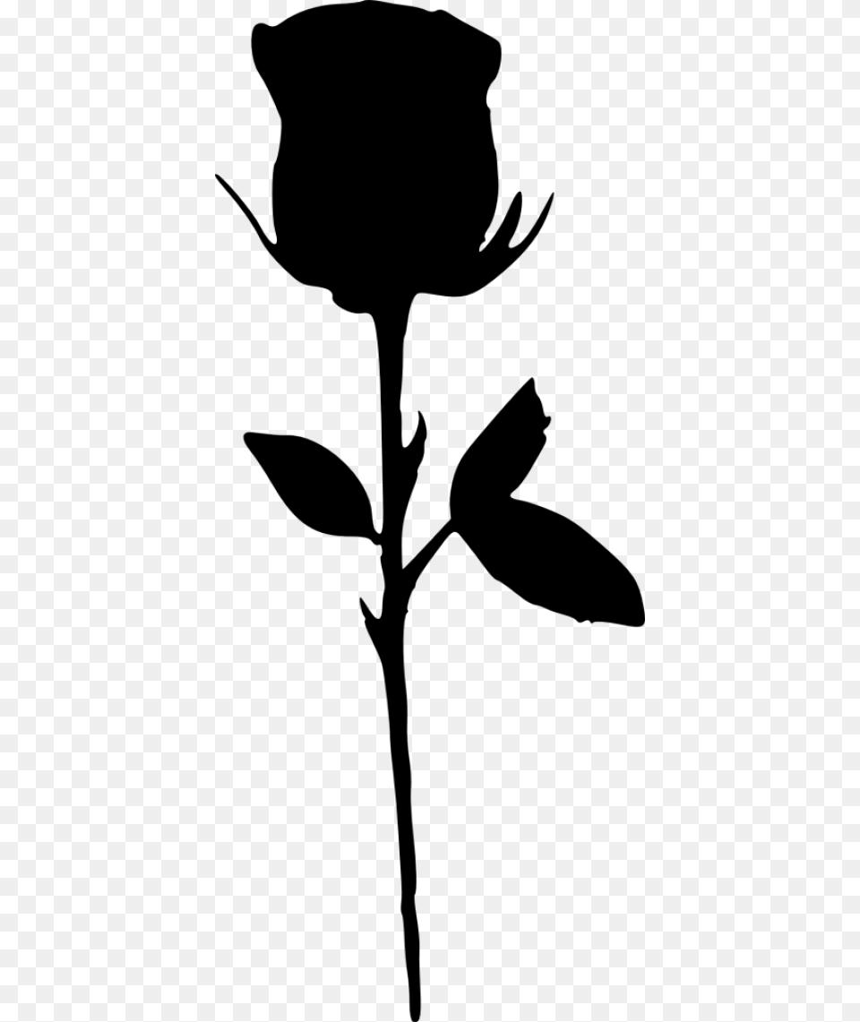 Rose Silhouette, Flower, Plant, Leaf, Bud Free Png