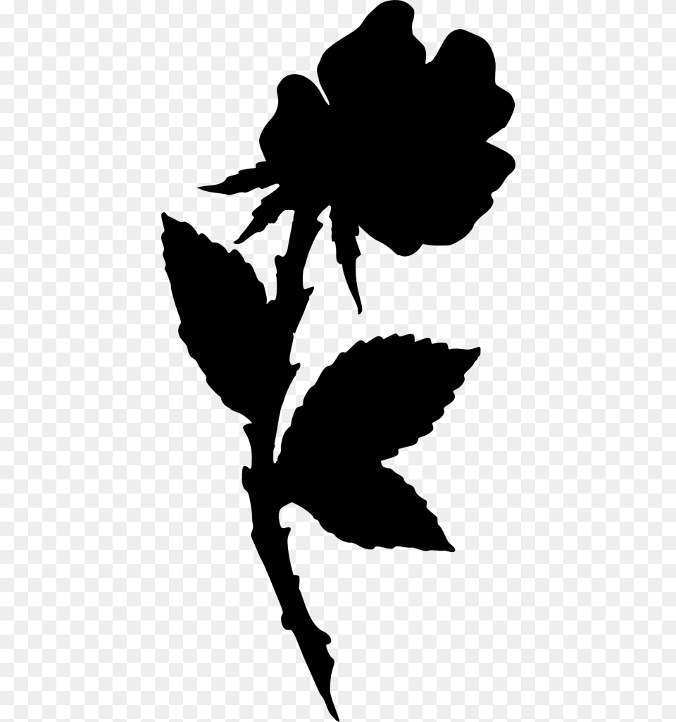 Rose Silhouette Illustration, Leaf, Plant, Person Png Image
