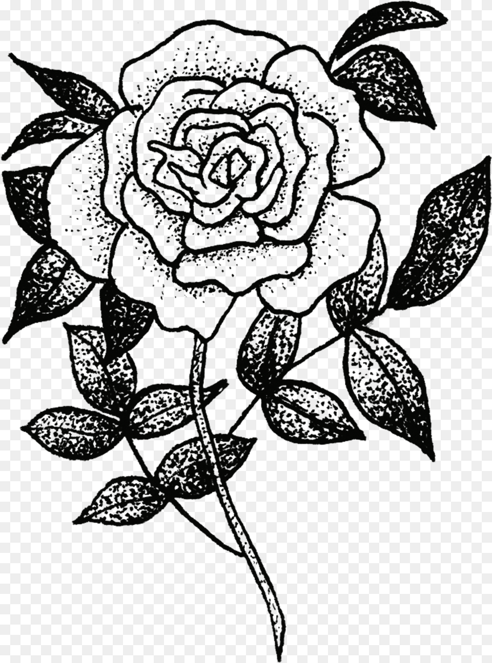 Rose Sketch Of Flora And Fauna, Pattern Free Transparent Png