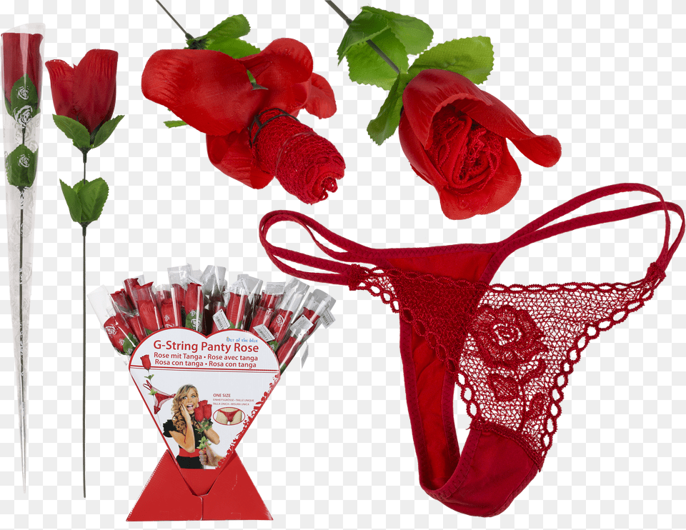 Rose String Free Transparent Png