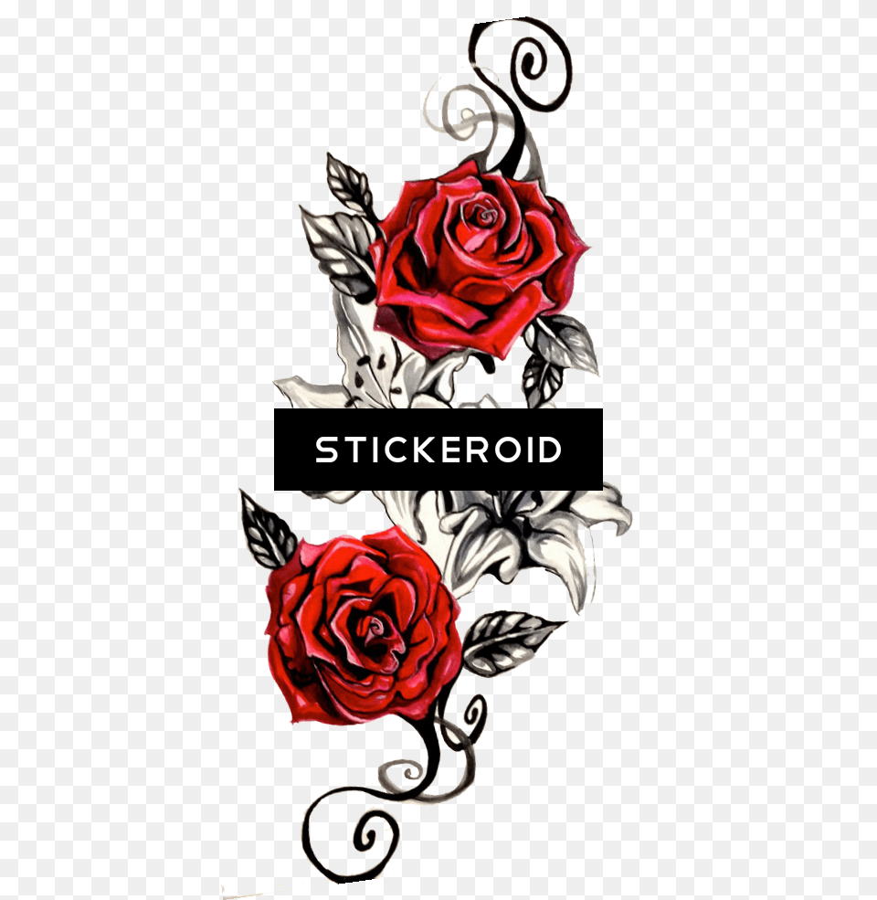 Rose Tattoo, Art, Flower, Graphics, Plant Png Image