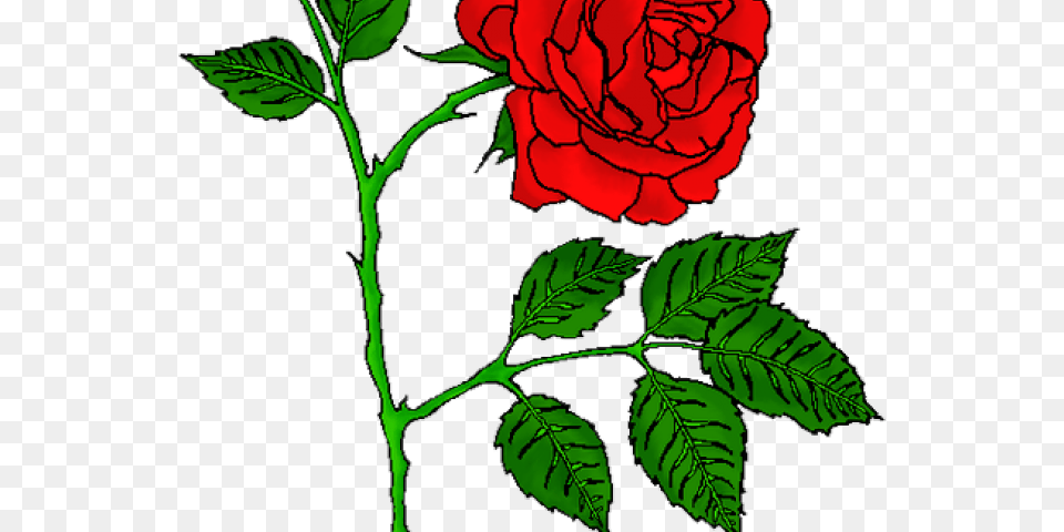 Rose Tattoo Clipart Picsart Red Rose Tattoo, Flower, Leaf, Plant Png Image