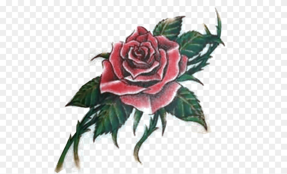 Rose Tattoo Red Flower Freetoe Rose And Thorn Tattoo, Plant, Graphics, Art, Leaf Free Transparent Png
