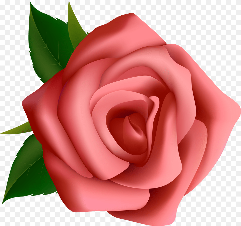 Rose Tattoo Transparent Background Png Image