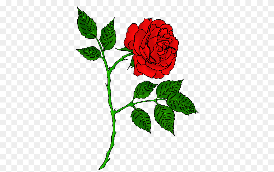 Rose Tattoo Transparent Images, Flower, Leaf, Plant Free Png Download