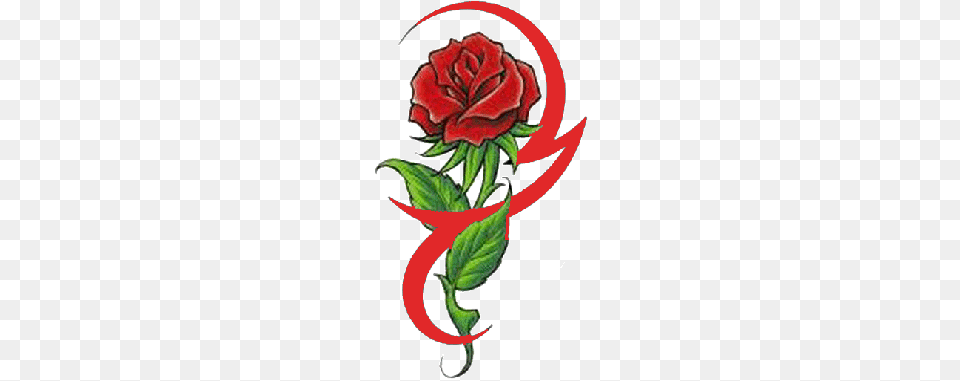 Rose Tattoo Transparent Images, Flower, Plant, Leaf, Dynamite Free Png