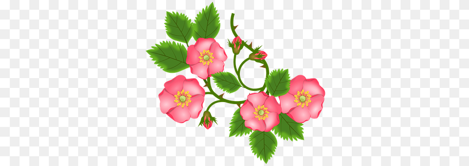 Rose Tendril Art, Floral Design, Flower, Graphics Free Png Download
