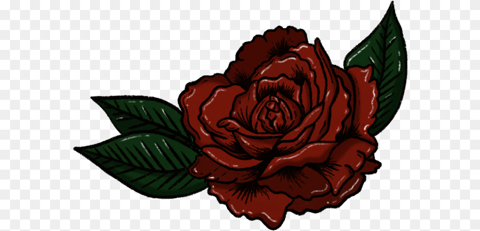 Rose Flower, Plant, Person Free Transparent Png