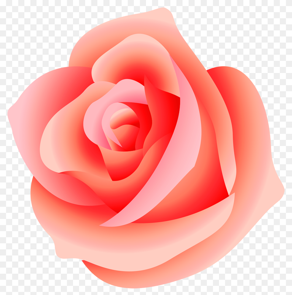 Rose Transparent Pictures, Flower, Plant, Food, Ketchup Free Png Download